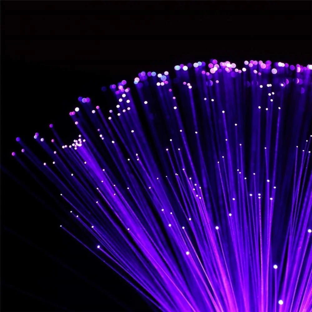 Glowing Fiber Optic Decor Lamp