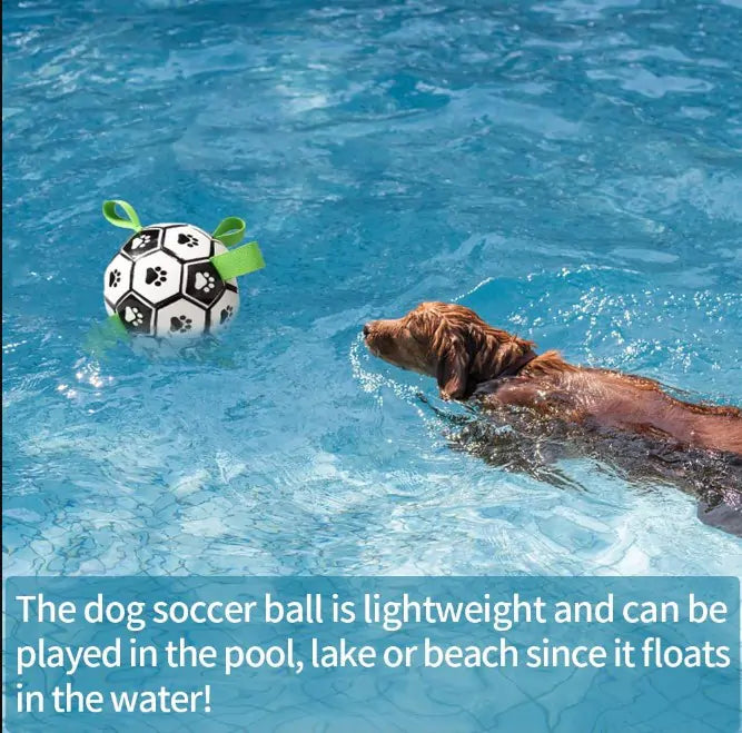 Pup Playtime Soccer Ball