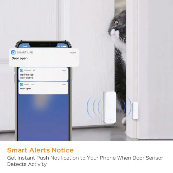 SmartGuard Door Monitor