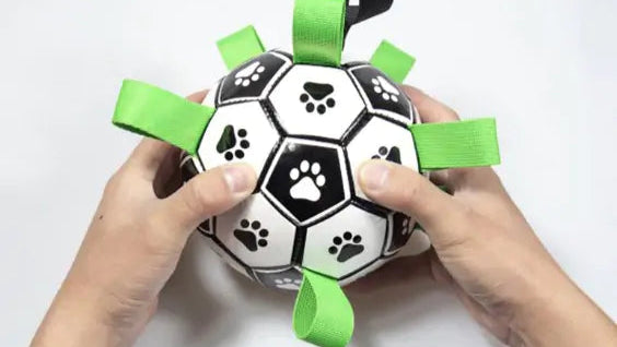 Pup Playtime Soccer Ball